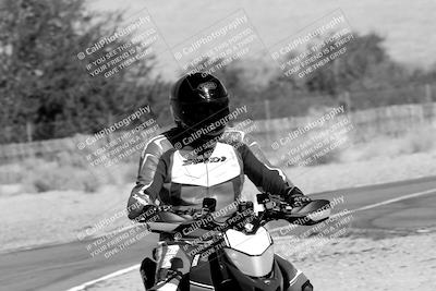 media/Nov-11-2023-SoCal Trackdays (Sat) [[efd63766ff]]/Track Exit (1130am until Lunch)/